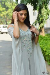 Mehreen Pirzada at Jawaan Movie Pre Release Press Meet
